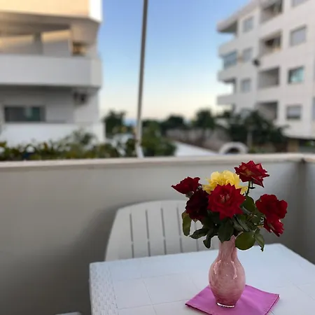 Sea View In Velipoja,kompleksi Fishta *